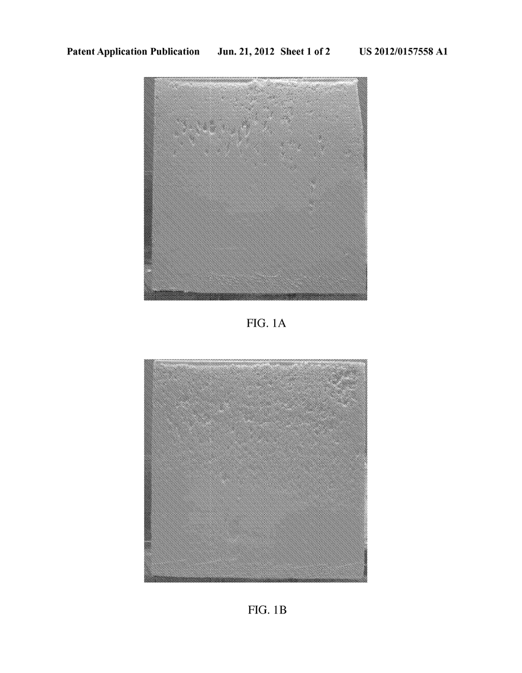 SILICONE STABILIZERS FOR RIGID POLYURETHANE OR POLYISOCYANURATE FOAMS - diagram, schematic, and image 02