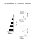 Methods Of Producing Humanized Non-Human Mammals diagram and image