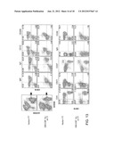 Methods Of Producing Humanized Non-Human Mammals diagram and image