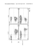 Methods Of Producing Humanized Non-Human Mammals diagram and image