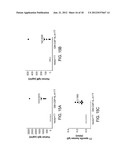 Methods Of Producing Humanized Non-Human Mammals diagram and image