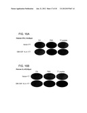 Methods Of Producing Humanized Non-Human Mammals diagram and image