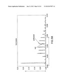 STEADY STATE MEASUREMENT AND ANALYSIS APPROACH TO PROFILING AUDITORY     EVOKED POTENTIALS FROM SHORT-LATENCY TO LONG LATENCY diagram and image