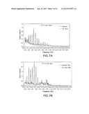 STEADY STATE MEASUREMENT AND ANALYSIS APPROACH TO PROFILING AUDITORY     EVOKED POTENTIALS FROM SHORT-LATENCY TO LONG LATENCY diagram and image