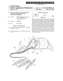 DEVICES, SYSTEMS AND METHODS FOR THE TARGETED TREATMENT OF MOVEMENT     DISORDERS diagram and image