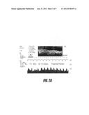 COOLING OF LOCALIZED AREAS OF THE BODY FOR CEREBRAL BLOOD FLOW     AUGMENTATION diagram and image