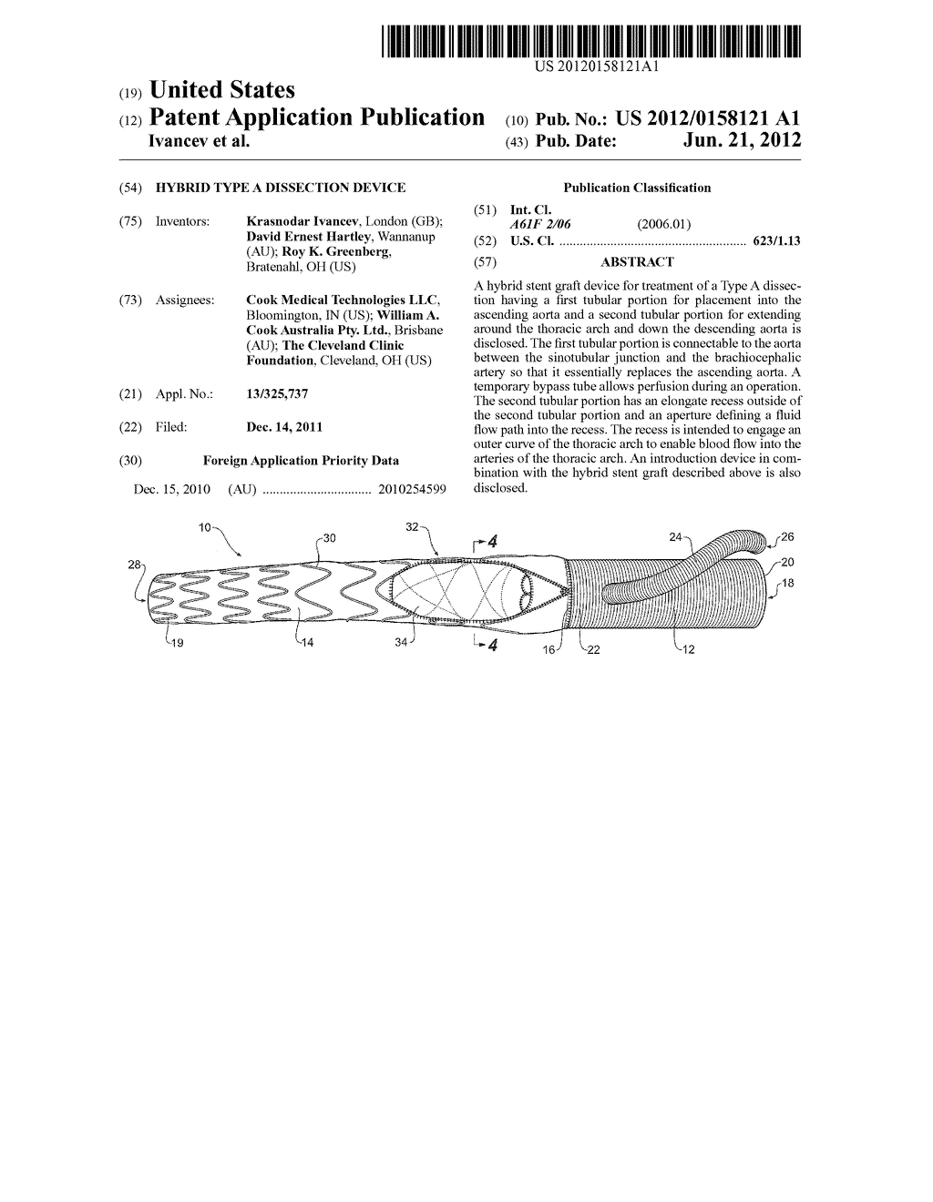 HYBRID TYPE A DISSECTION DEVICE - diagram, schematic, and image 01