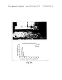 COMPOSITIONS AND METHODS FOR EVALUATING COGNITIVE DEFECTS diagram and image