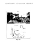 COMPOSITIONS AND METHODS FOR EVALUATING COGNITIVE DEFECTS diagram and image