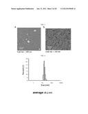 EXTRACELLULAR VESICLES DERIVED FROM GRAM-POSITIVE BACTERIA, AND USE     THEREOF diagram and image