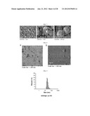 EXTRACELLULAR VESICLES DERIVED FROM GRAM-POSITIVE BACTERIA, AND USE     THEREOF diagram and image