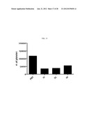 EXTRACELLULAR VESICLES DERIVED FROM GRAM-POSITIVE BACTERIA, AND USE     THEREOF diagram and image