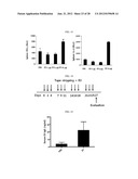 EXTRACELLULAR VESICLES DERIVED FROM GRAM-POSITIVE BACTERIA, AND USE     THEREOF diagram and image