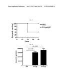 EXTRACELLULAR VESICLES DERIVED FROM GRAM-POSITIVE BACTERIA, AND USE     THEREOF diagram and image