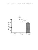 EXTRACELLULAR VESICLES DERIVED FROM GRAM-POSITIVE BACTERIA, AND USE     THEREOF diagram and image