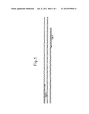 METHOD FOR ALTERING DEPTH OF FLOWER COLOR FOR THE LIGHTER OR DEEPER diagram and image