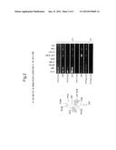 METHOD FOR ALTERING DEPTH OF FLOWER COLOR FOR THE LIGHTER OR DEEPER diagram and image