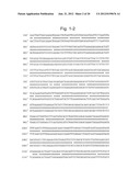 PROTEIN HAVING GLYCOALKALOID BIOSYNTHETIC ENZYME ACTIVITY AND GENE     ENCODING THE SAME diagram and image