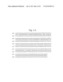 PROTEIN HAVING GLYCOALKALOID BIOSYNTHETIC ENZYME ACTIVITY AND GENE     ENCODING THE SAME diagram and image