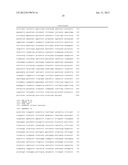 PROTEIN HAVING GLYCOALKALOID BIOSYNTHETIC ENZYME ACTIVITY AND GENE     ENCODING THE SAME diagram and image