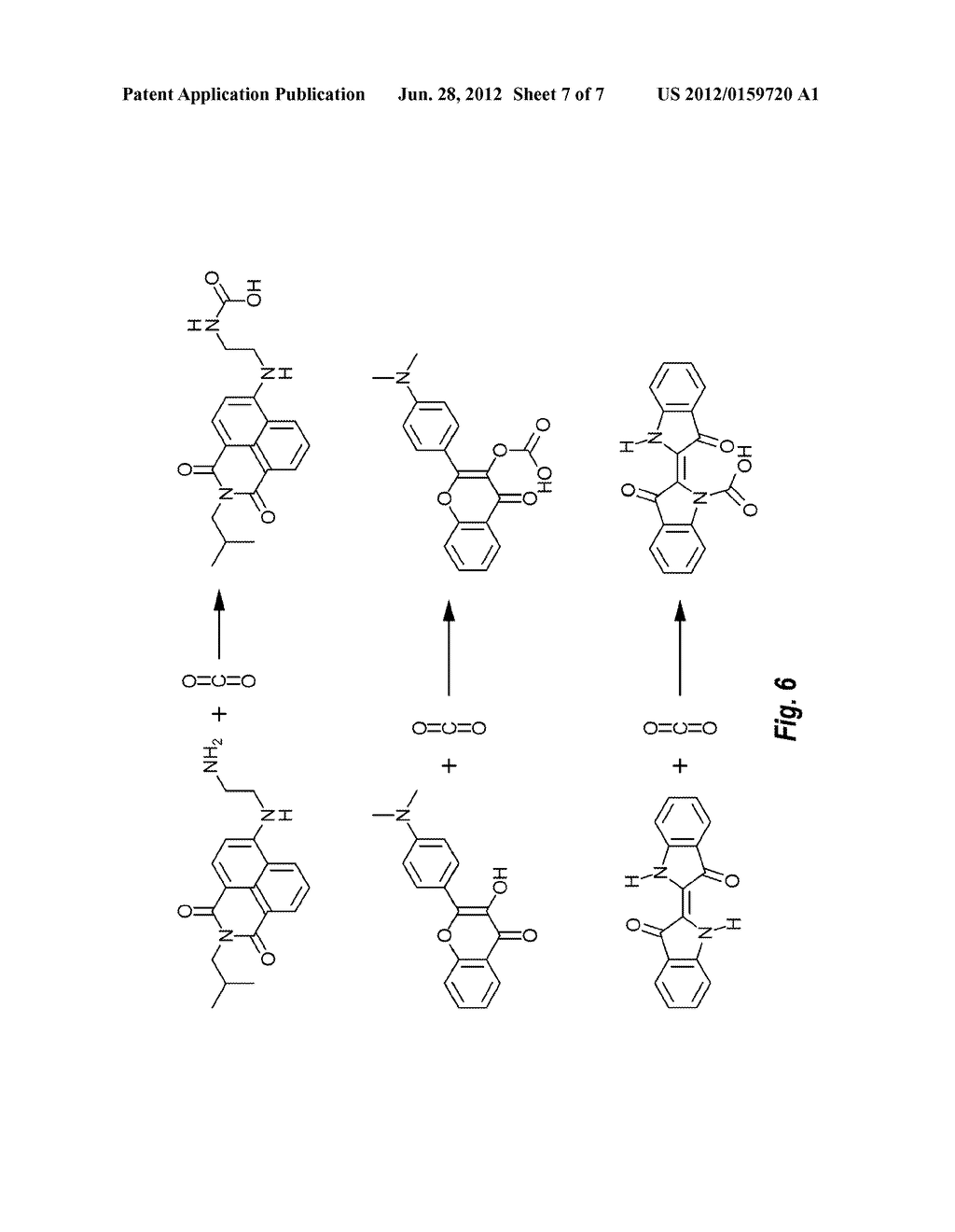 SUPERCRITICAL NOBLE GASES AND COLORING METHODS - diagram, schematic, and image 08