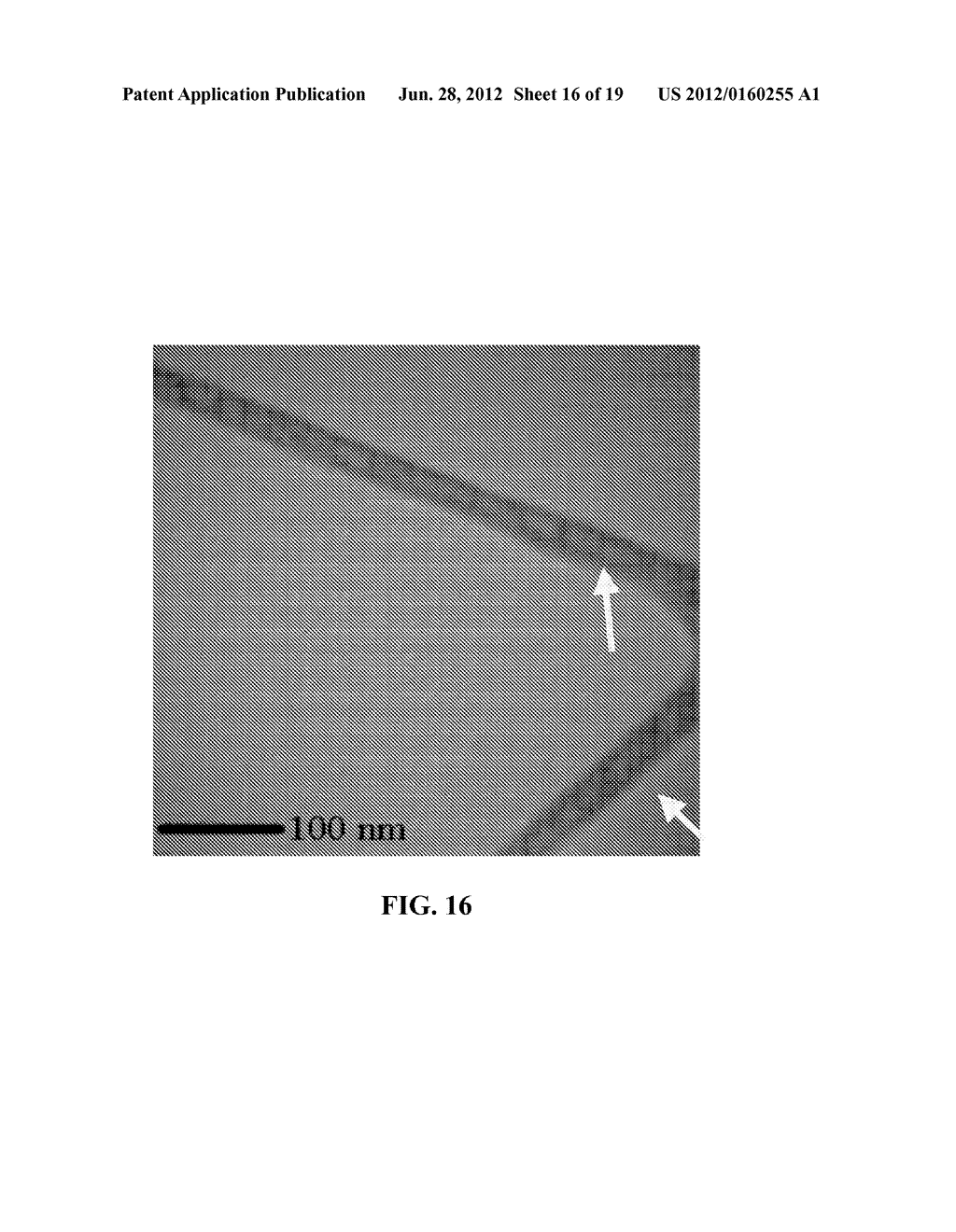 NANOSTRUCTURAL FILTER FOR REMOVING TOXIC COMPOUNDS - diagram, schematic, and image 17