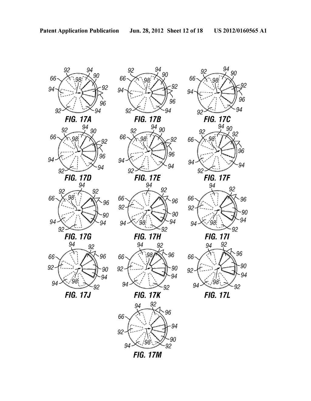 SYSTEM AND METHOD TO CONTROL STEERING AND ADDITIONAL FUNCTIONALITY IN A     ROTARY STEERABLE SYSTEM - diagram, schematic, and image 13