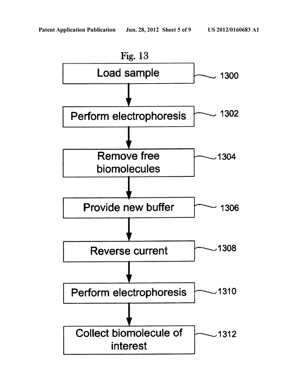 REVERSIBLE CURRENT GEL ELECTROPHORESIS DEVICE FOR SEPARATING BIOLOGICAL     MACROMOLECULES - diagram, schematic, and image 06