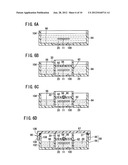 CONTAINER ASSEMBLY AND METHOD FOR CONTAINING BIOLOGICAL GRAFT diagram and image