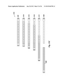 SEPARATOR ASSEMBLY diagram and image