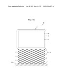 DISPLAY DEVICE diagram and image