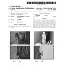 Depth Estimate Determination, Systems and Methods diagram and image