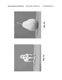 SHAPE DESCRIPTION AND MODELING FOR IMAGE SUBSCENE RECOGNITION diagram and image