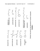 Vinylepoxide-Amine Acid Gas Adsorption-Desorption Polymers and Oligomers,     Processes for Preparing Same, and Uses Thereof diagram and image