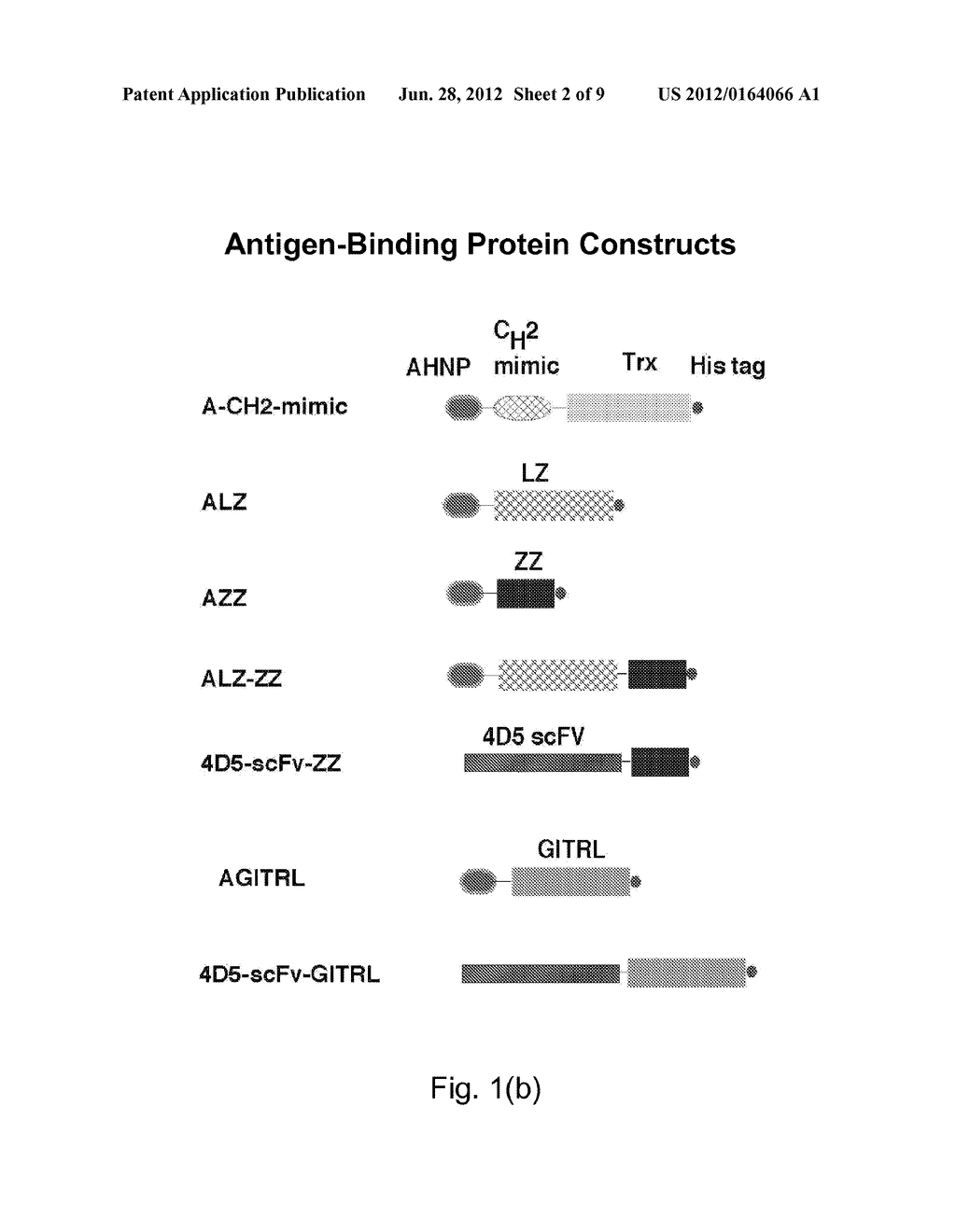 ANTIGEN-BINDING PROTEINS COMPRISING RECOMBINANT PROTEIN SCAFFOLDS - diagram, schematic, and image 03