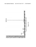 IMMUNO-CONJUGATES AND METHODS FOR PRODUCING THEM diagram and image