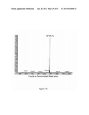 IMMUNO-CONJUGATES AND METHODS FOR PRODUCING THEM diagram and image