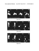 IMMUNO-CONJUGATES AND METHODS FOR PRODUCING THEM diagram and image