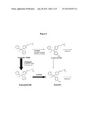 ENDOXIFEN METHODS AND COMPOSITIONS IN THE TREATMENT OF MAMMALIAN DISEASES diagram and image