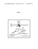 ENDOXIFEN METHODS AND COMPOSITIONS IN THE TREATMENT OF MAMMALIAN DISEASES diagram and image
