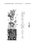 IMAGING OF BIOLOGICAL TISSUE UTILIZING NANOPARTICLES diagram and image