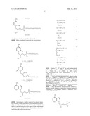 Composition and Methods of Treating Viral Infections and Viral Induced     Tumors diagram and image