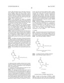 Composition and Methods of Treating Viral Infections and Viral Induced     Tumors diagram and image