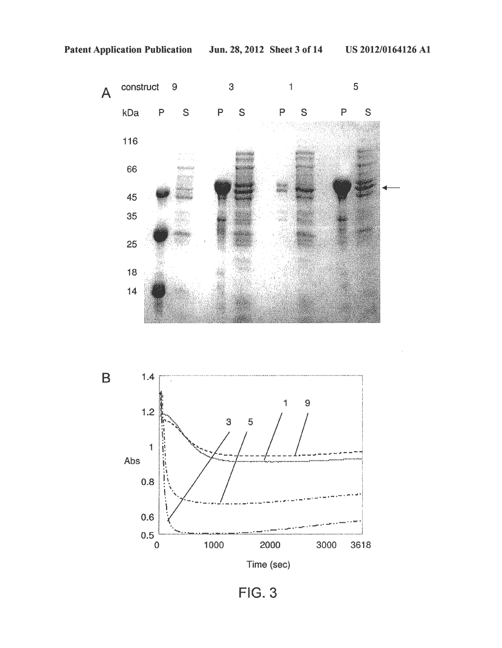 PROTEINS FOR USE IN HUMAN AND ANIMAL STAPHYOCOCCUS INFECTIONS - diagram, schematic, and image 04