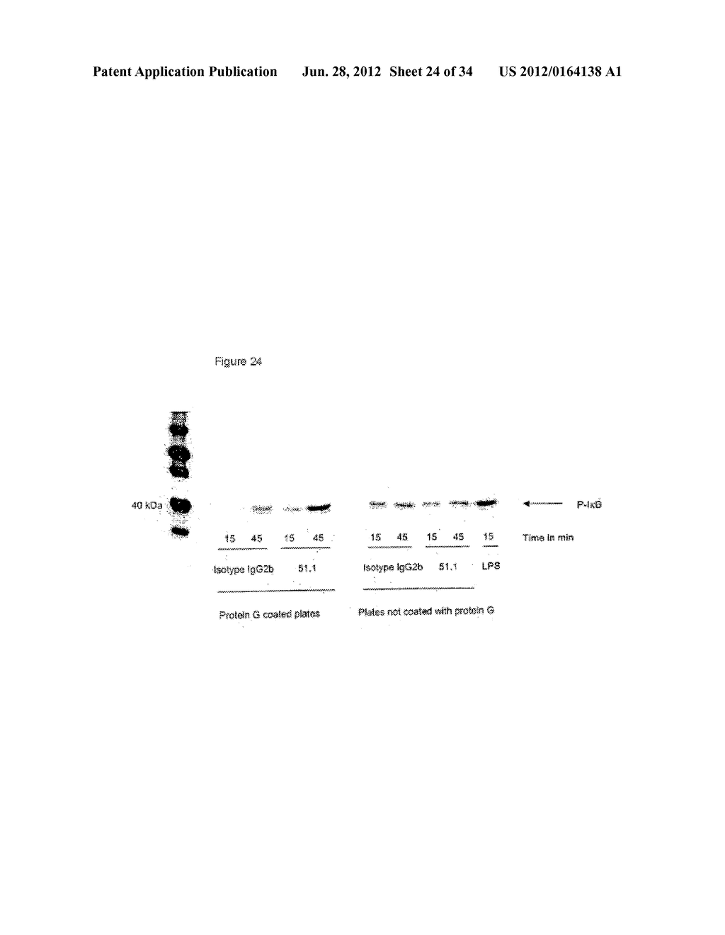 USE OF ANTI-CD1 ANTIBODIES FOR THE MODULATION OF IMMUNE RESPONSES - diagram, schematic, and image 25