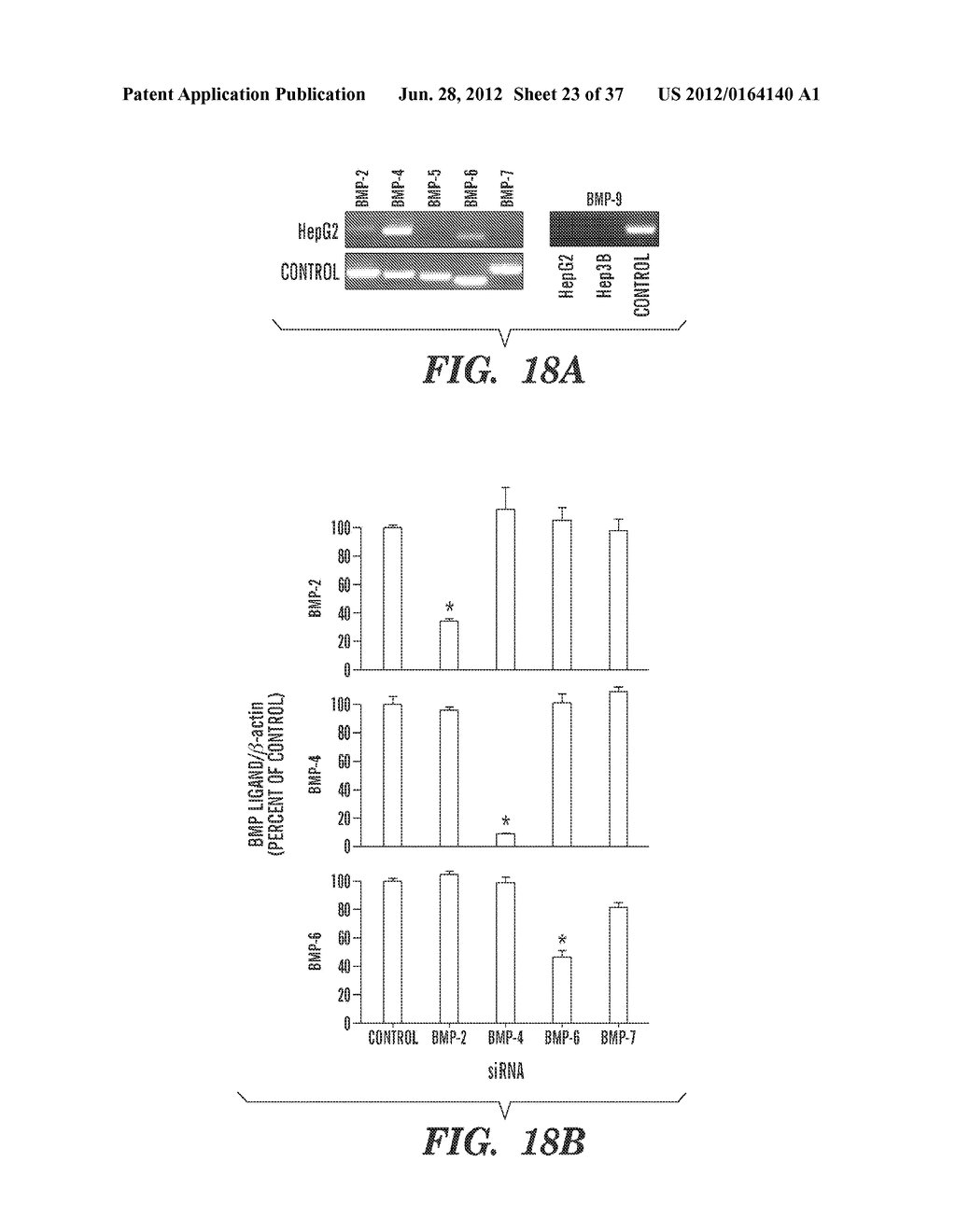 HEMOJUVELIN FUSION PROTEINS AND USES THEREOF - diagram, schematic, and image 24