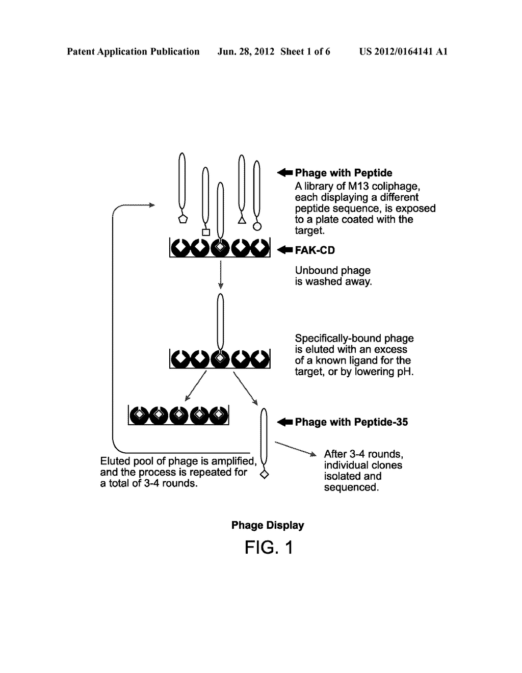 METHODS AND COMPOSITIONS FOR INDUCING APOPTOSIS - diagram, schematic, and image 02