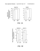 Compositions Containing JARID1B Inhibitors and Methods for Treating Cancer diagram and image