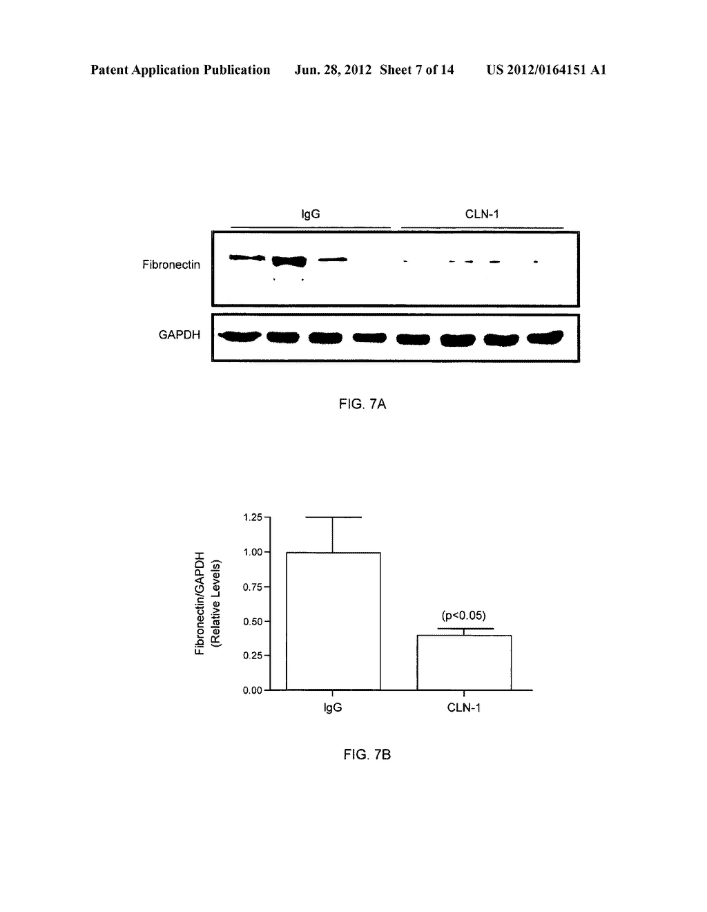 Methods for Treatment of Muscular Dystrophy - diagram, schematic, and image 08