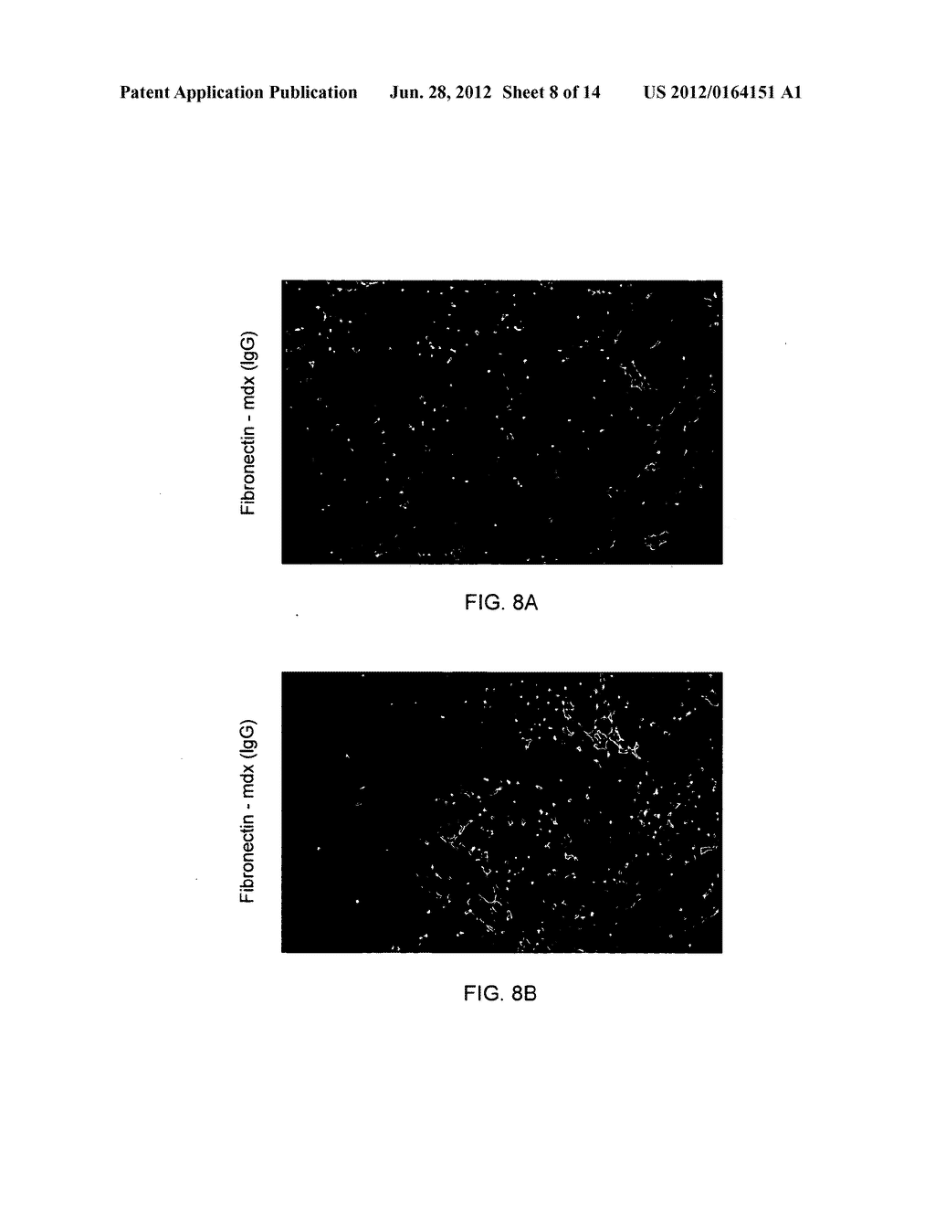 Methods for Treatment of Muscular Dystrophy - diagram, schematic, and image 09